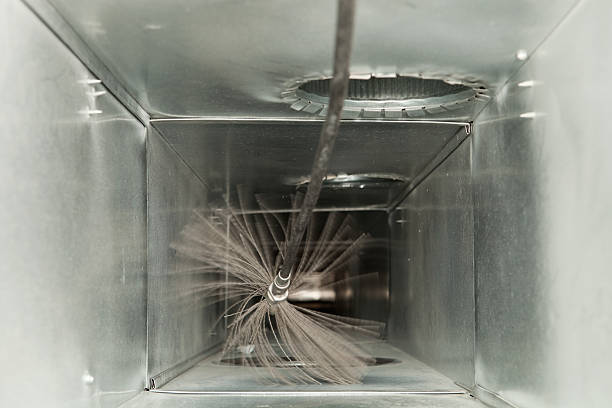 Best Air Duct Mold Removal  in Woodinville, WA